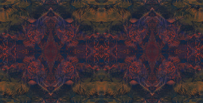 Navajo Londonart