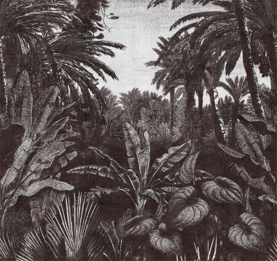 Tropical mornings Londonart