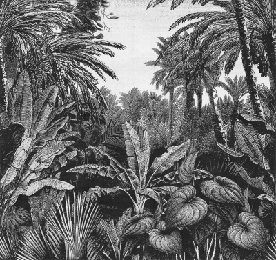Tropical mornings Londonart