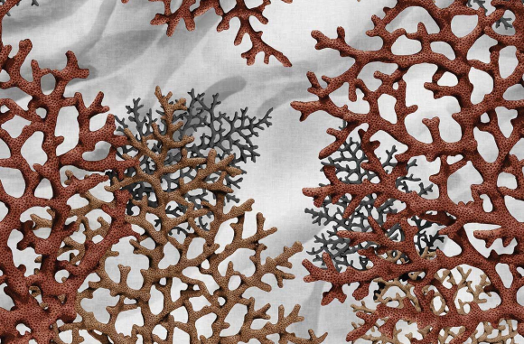 Coralina Londonart