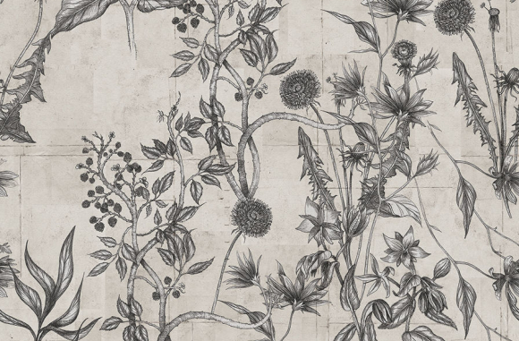 Wild flower Londonart
