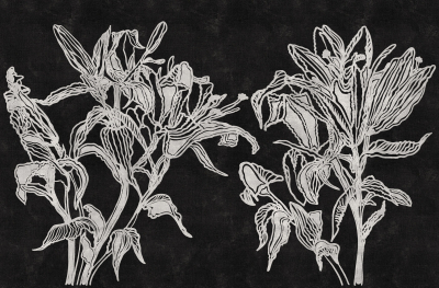 Lily Londonart