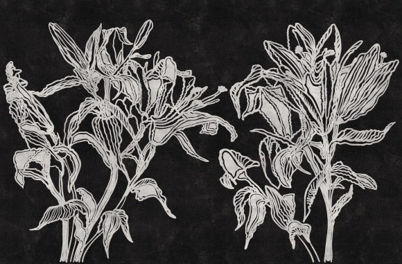 Lily Londonart