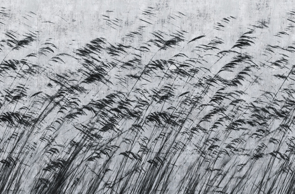 Gone with the wind Londonart