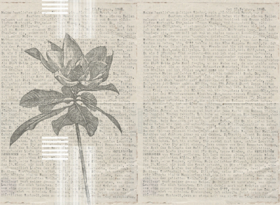 Words and flowers Londonart