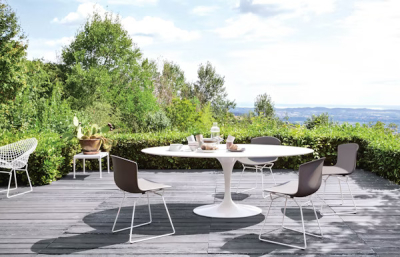 Bertoia Molded Shell Knoll