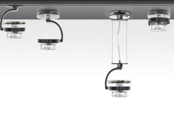 Cata Artemide